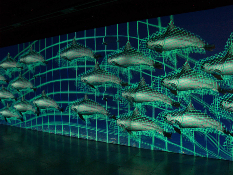 Parte de la exposición 'Vaquita marina entre redes' que inaugurará el recinto. (Cortesía: DGCS UNAM)