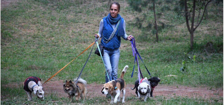 Es preferible no sacarlos a pasear o hacerlo por un lapso breve, en casos necesarios. (CORTESÍA)