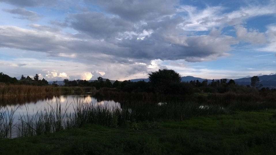Parque Ecológico de Xochimilco. (Tomado de @jecastelan)