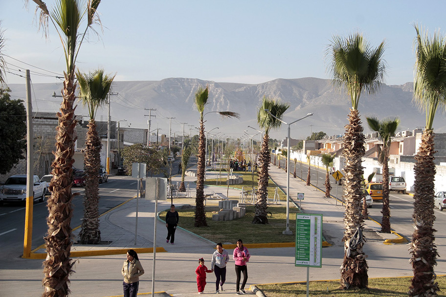 Línea Verde de Torreón. (Archivo)