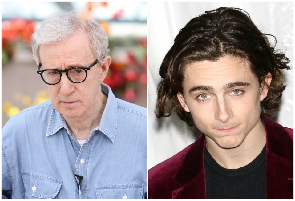 Timothée Chalamet protagonizó la película 'Un día lluvioso en Nueva York' de Woody Allen. (Shutterstock)