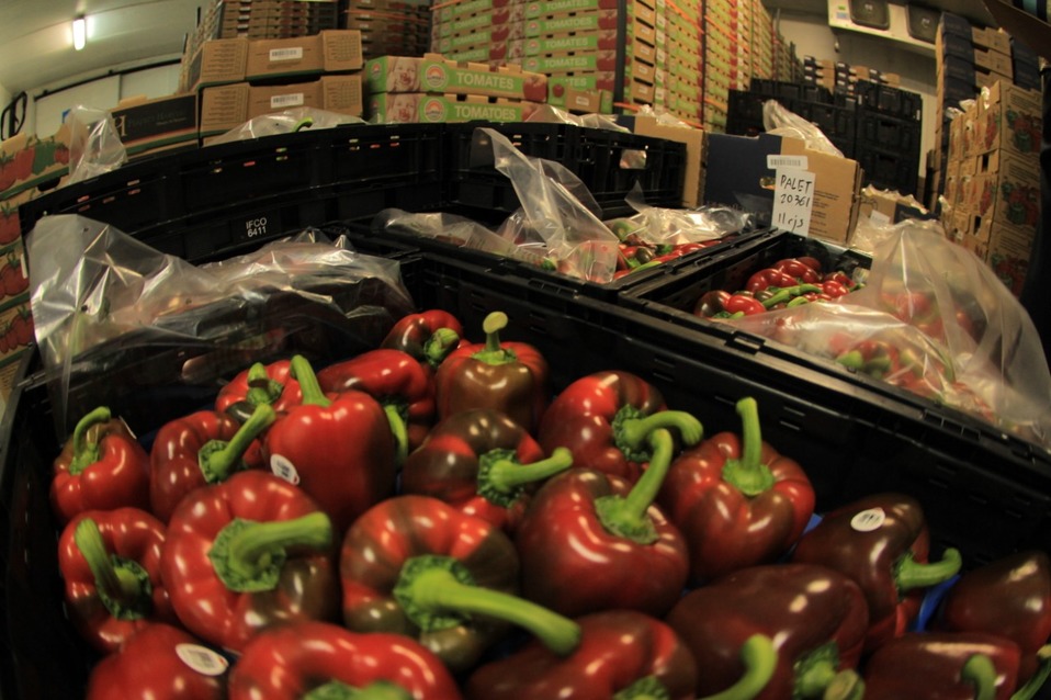 Por contingencia, Guanajuato pretende exportaciones agroalimentarias