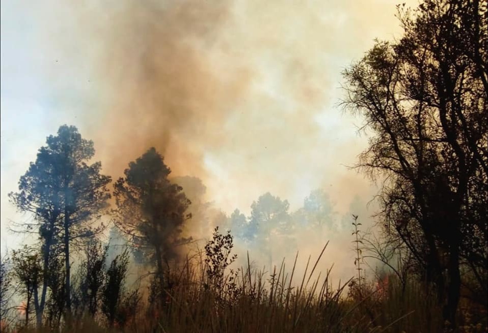 De enero a mediados de marzo en Tlaxcala se han registrado 61 incendios que han afectado 405 hectáreas. (Especial)