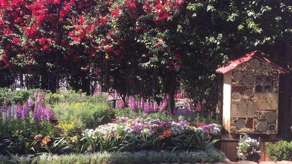 Jardín polinizador en el zoológico Los Coyotes de CdMx. (Especial)