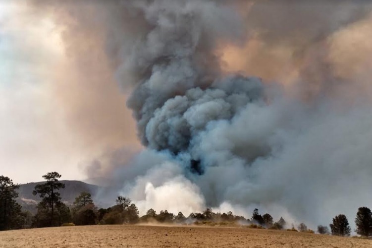 Puebla está entre los estados con mayor número de incendios. (Especial)