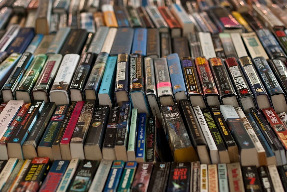 Libros. (Pixabay)