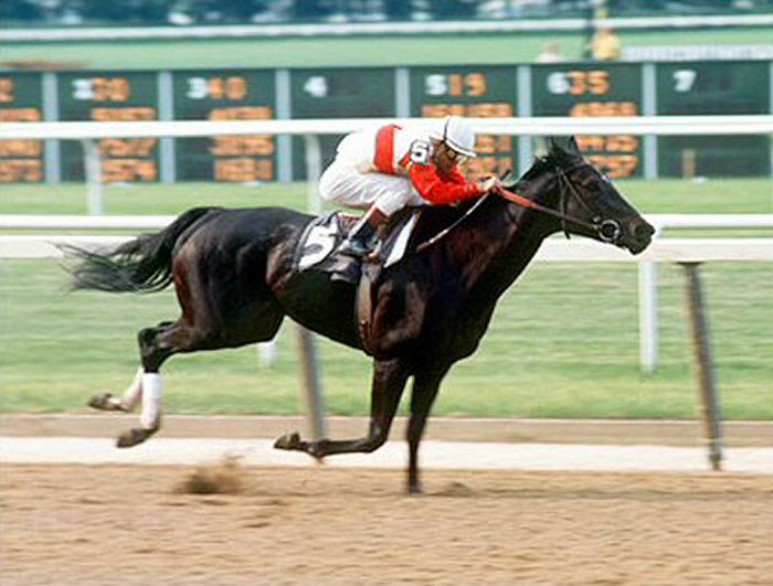 Ruffian, la potra más poderosa de la historia (Especial)
