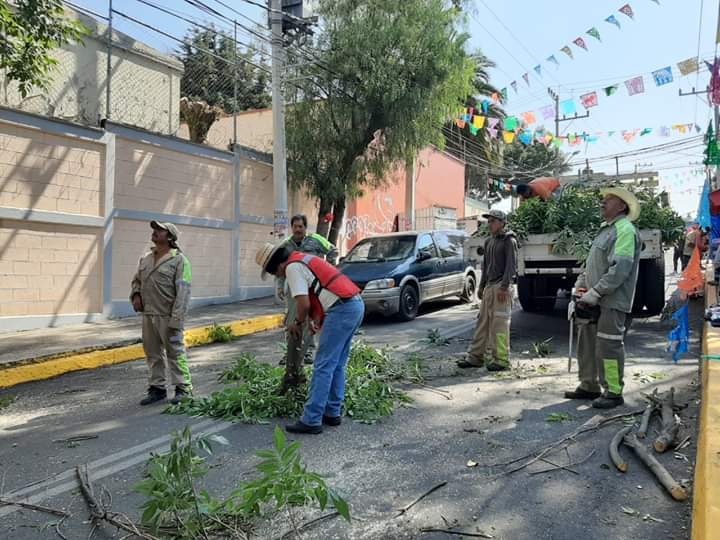 En Xochimilco trabajan casi 3 mil 200 mujeres y 2 mil hombres.