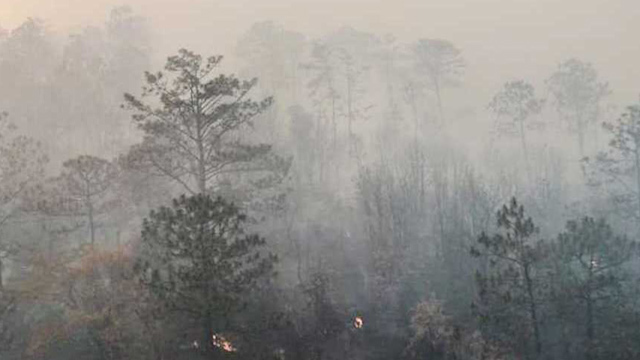 Incendio forestal deja a mujer con quemaduras graves en Oaxaca