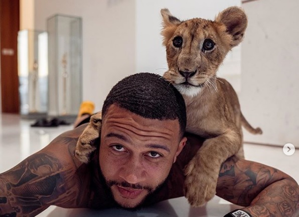 Memphis Depay con su león (Instagram)