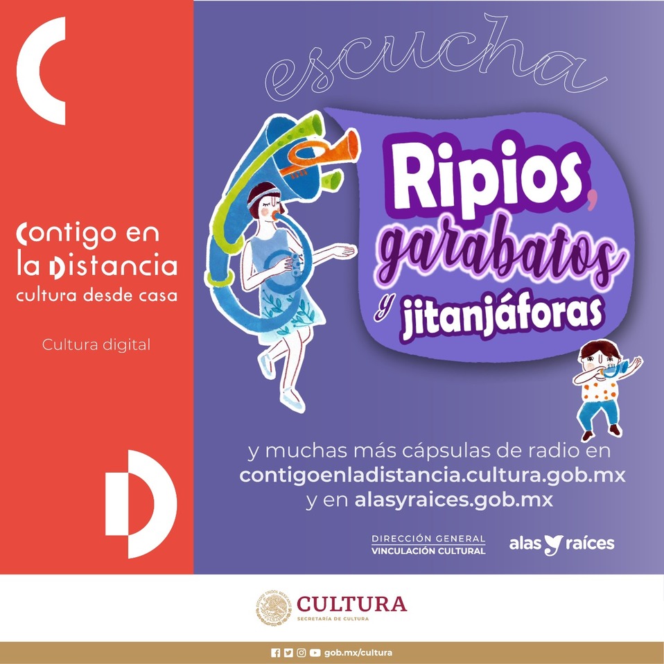 Integrada por una serie de cápsulas guiada por el lema “Lo que sé, me fortalece" (Especial).