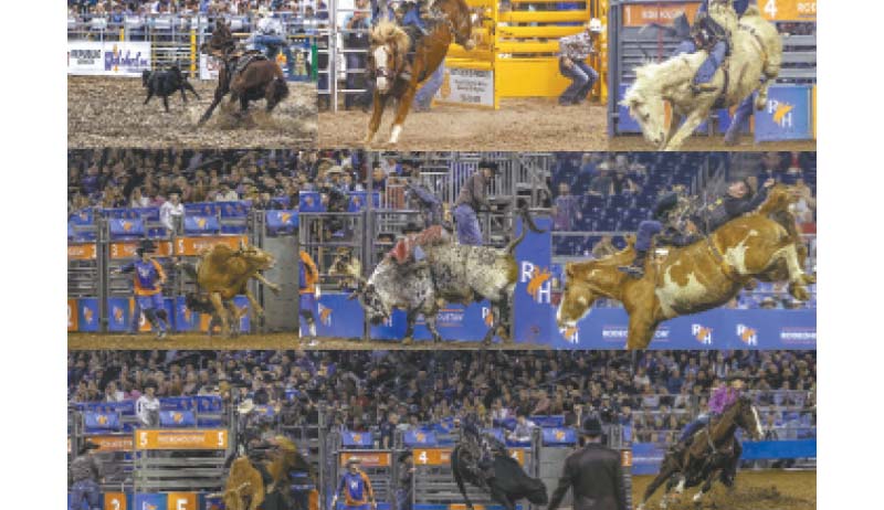Se presentará una colección de fotografías relacionadas a los rodeos que se visitaron durante febrero y marzo en los Estados Unidos.