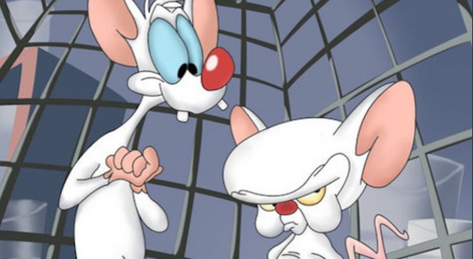 ¿Vuelven Animaniacs y Pinky y Cerebro? (Twitter)