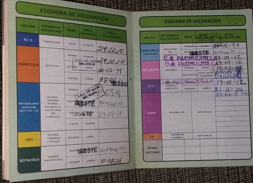Cartilla de vacunación. (Cortesía)