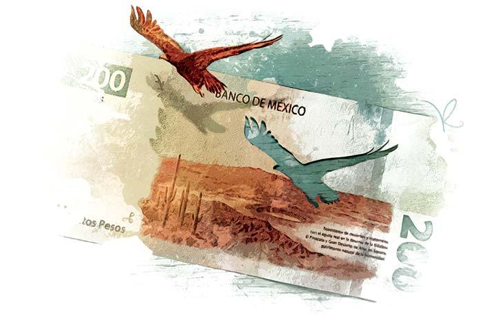 Para 2020, el Conacyt tiene aprobado un presupuesto de 25 658 mdp.