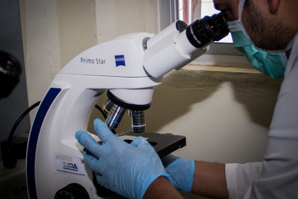 Laboratorio analiza pruebas.