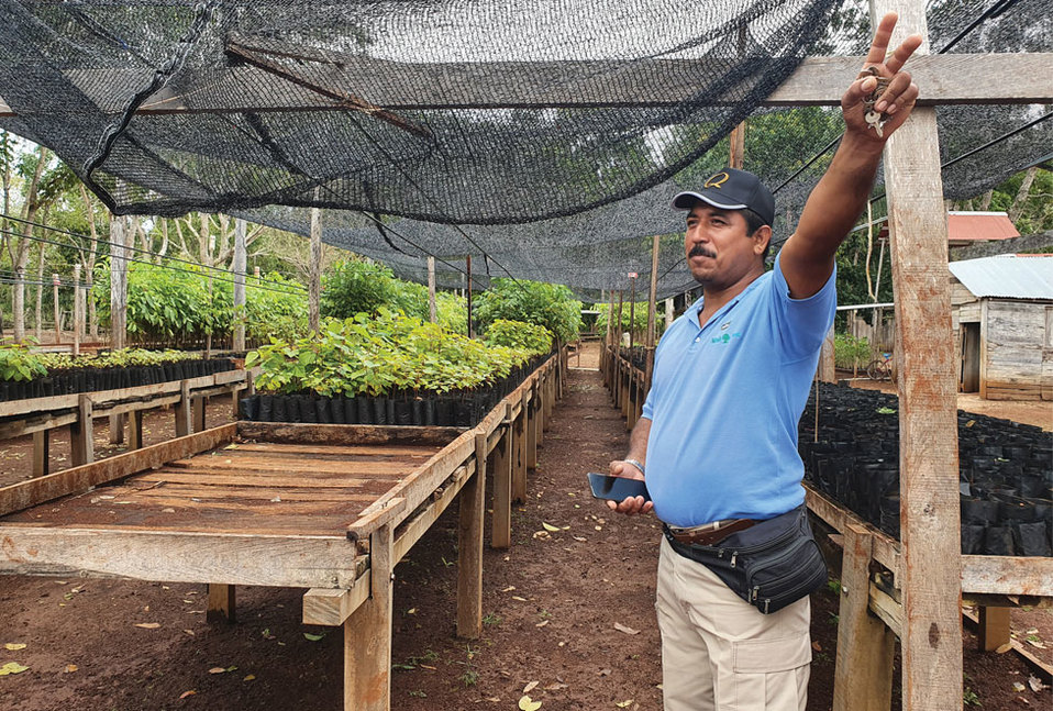 En Noh Bec, Quintana Roo, los ejidatarios conservan más de 24,000 hectáreas de selva