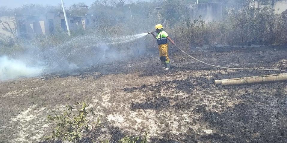 Se incendiaron 3 hectáreas de pastizal | Sandra Sosa