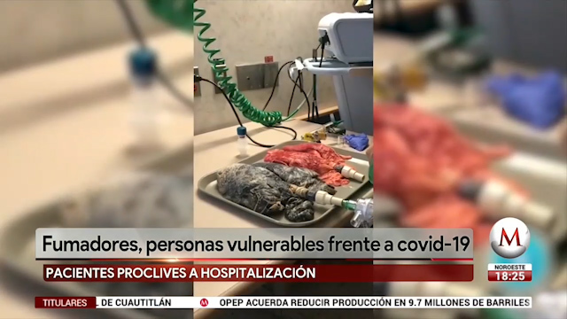 ¿Son los fumadores más vulnerables al covid-19?