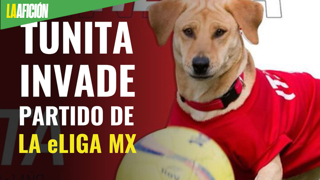 Perrita Tunita lo hace de nuevo y se mete a juego de la eLiga MX