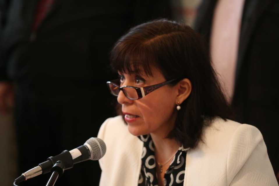 Bertha Puga, dirigente estatal de Morena. Foto: Jorge López.