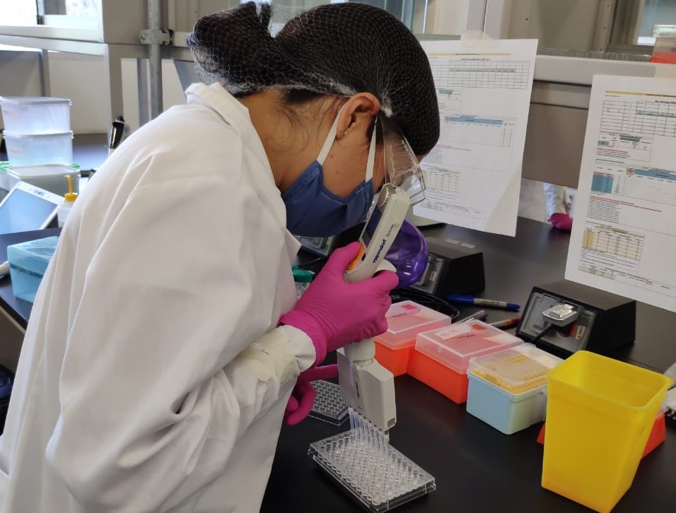 Científicos de la UNAM desarrollan prueba de covid-19. | Especial