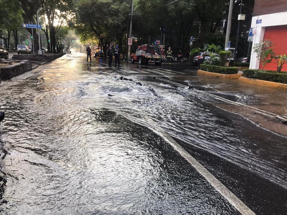 La fuga provocó problemas viales, al igual que para los transeúntes. (César Velázquez)