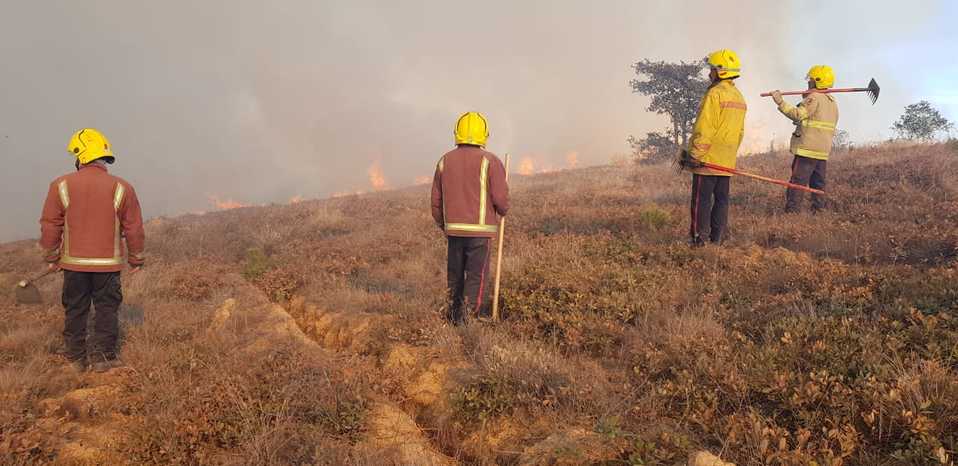 Incendio en cerro de Napateco. (Cortesía)
