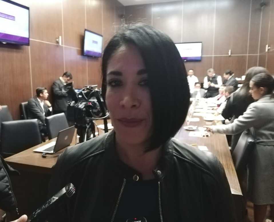 "Es necesario incidir más en la prevención para que se disminuyan las agresiones". (Claudia Hidalgo)