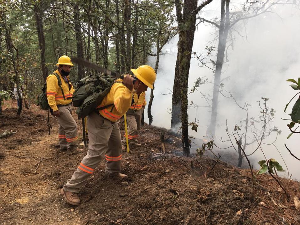 Elementos de Protección Civil del estado ayudan a sofocar los incendios que se mantienen activos. (Óscar Rodríguez)