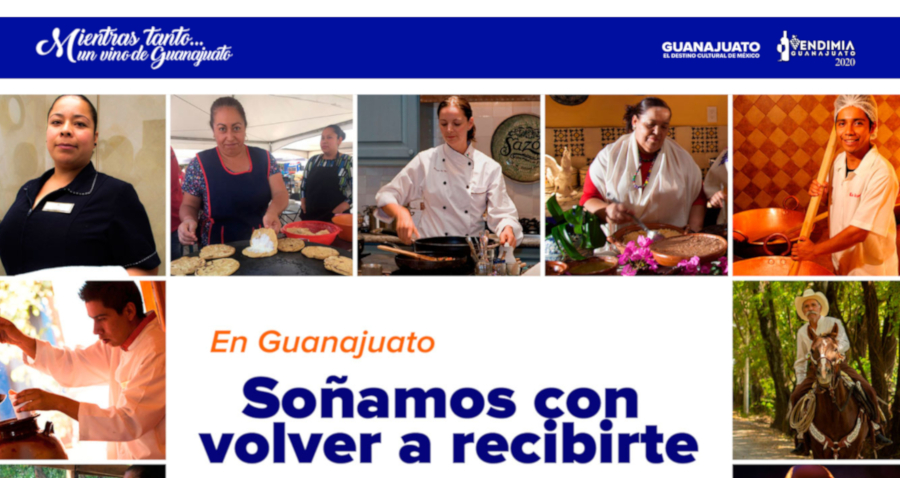 “Mientras tanto un vino de Guanajuato” permitirá a los visitantes disfrutar en casa de los vinos hechos en Guanajuato (Especial)