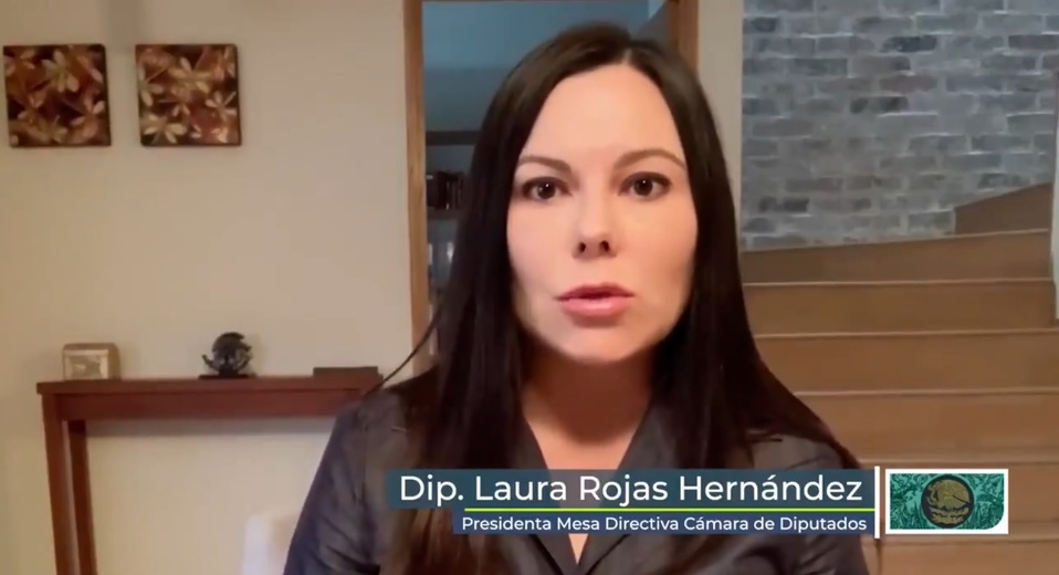 Laura Rojas, presidenta de la Mesa Directiva de la Cámara de Diputados. (Captura)