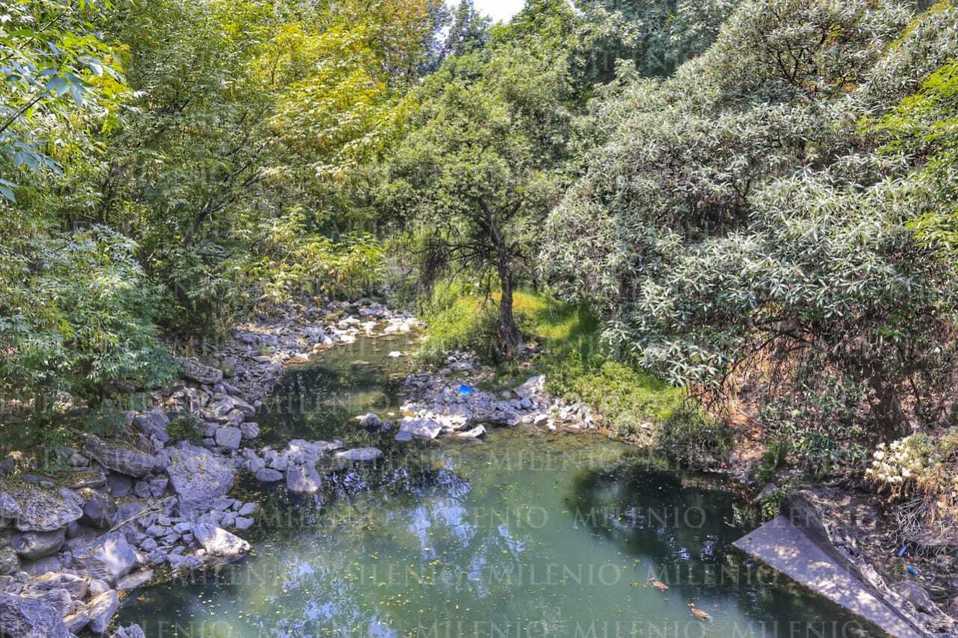 Una pareja de patos, nada tranquila en un cristalino remanso del río San Francisco. (Andrés Lobato)