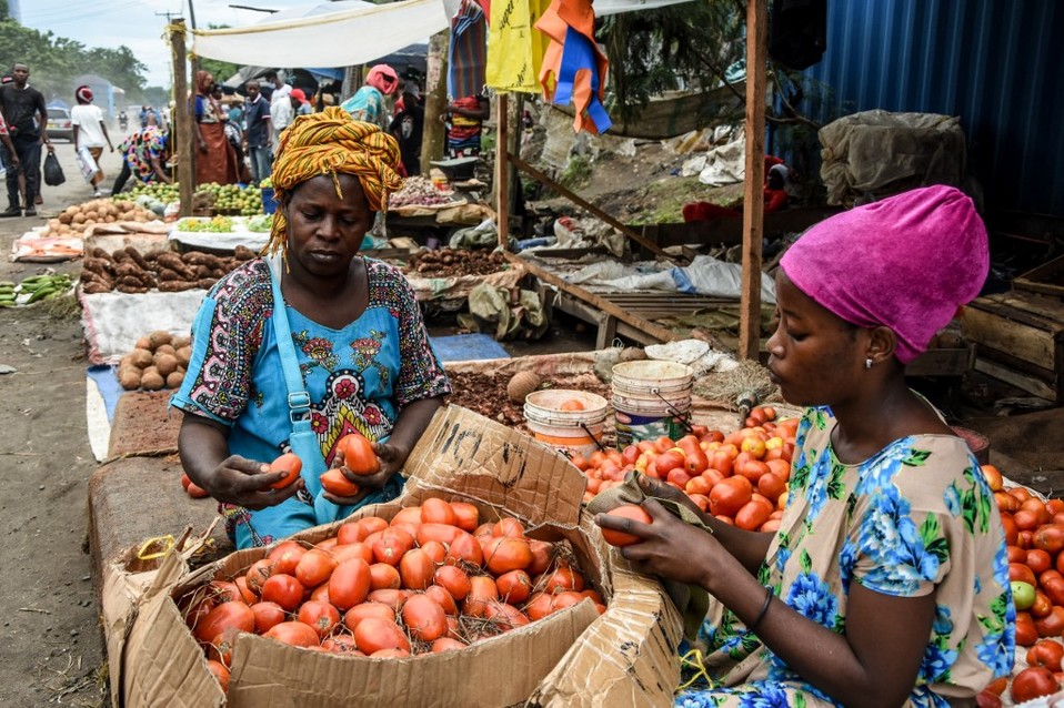 La economía de Tanzania depende del turismo y la agricultura. (AFP)