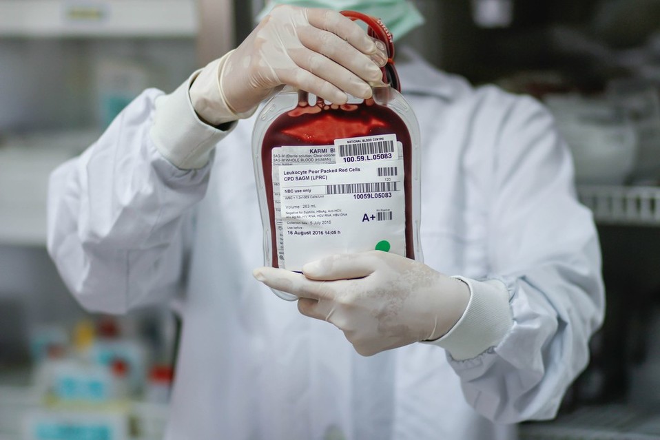El plasma de la sangre mantiene los anticuerpos que lucharon contra la enfermedad en personas recuperadas (Shutterstock).