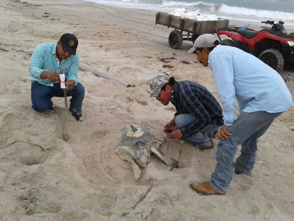 México es uno de los países con mayor biodiversidad en el mundo. (Foto: Twitter Conanp)