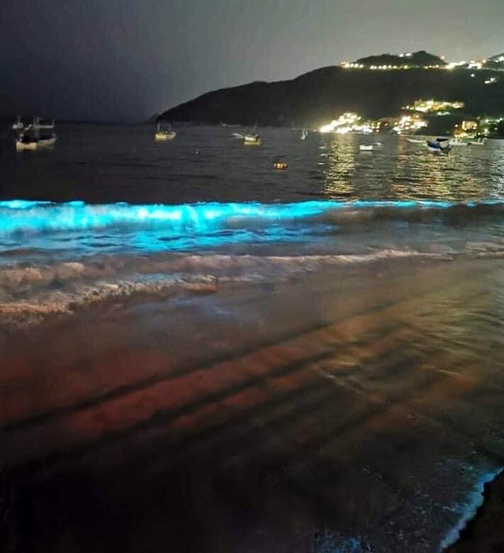 La playa de Puerto Marqués , Acapulco, se encuentra vacía por el coronavirus.(Twitter)