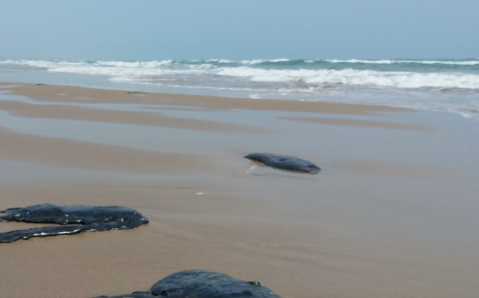 Aparece chapopote en playa Miramar.