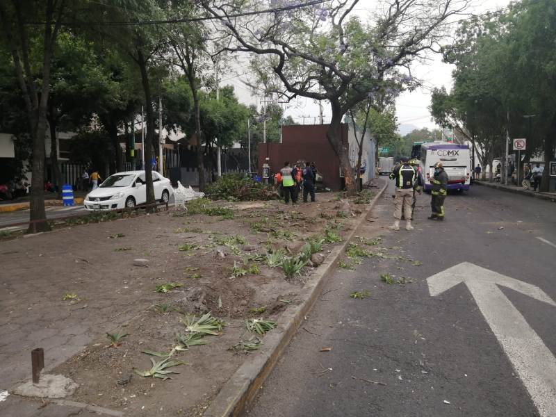 Elementos de Bomberos así como de Protección Civil apoyaron en las tareas de rescate. (Especial)
