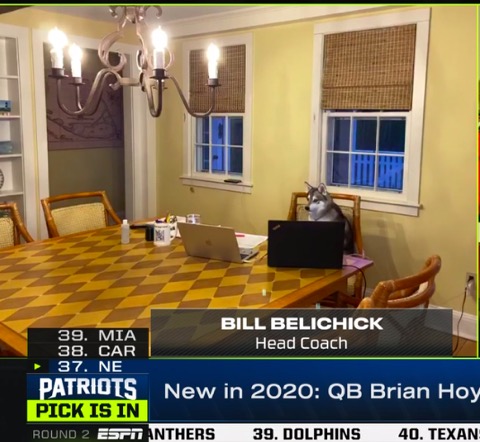 Perro sustituye a Bill Belichik en el Draft de la NFL (Especial)