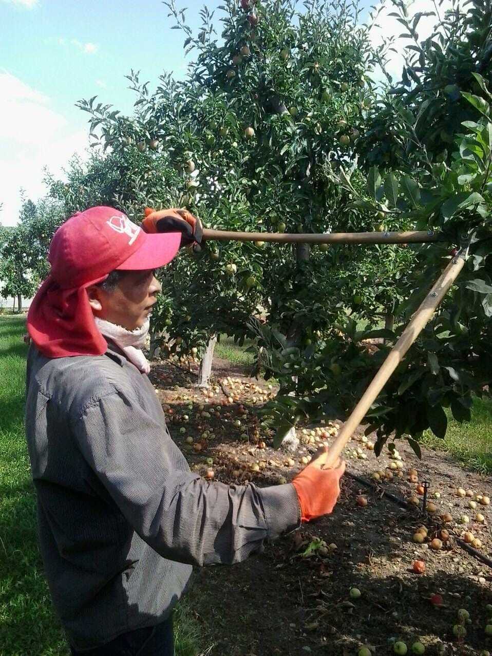 Las personas que se fueon son de Atlacomulco, Ecatepec, Ixtapaluca, Nezahualcóyotl, Tejupilco, Toluca, Tlalnepantla y Valle de Bravo. (Especial)
