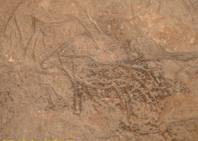 Los grabados están protagonizados por figuras con formas de animales.(Ministerio de Antigüedades de Egipto)