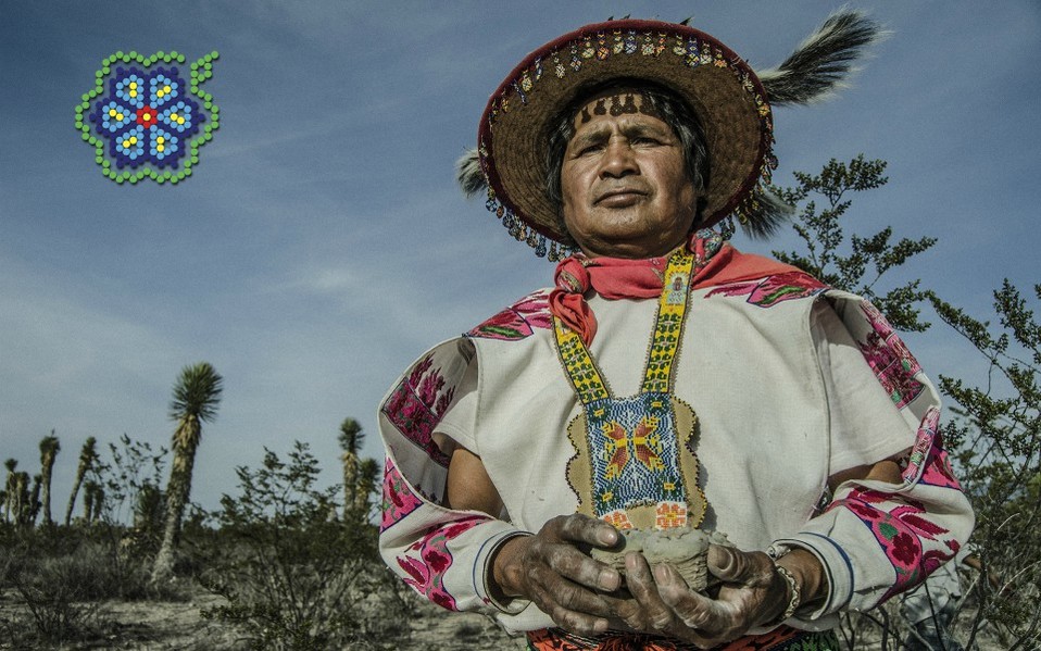 Huicholes: los últimos guardianes del peyote largometraje
