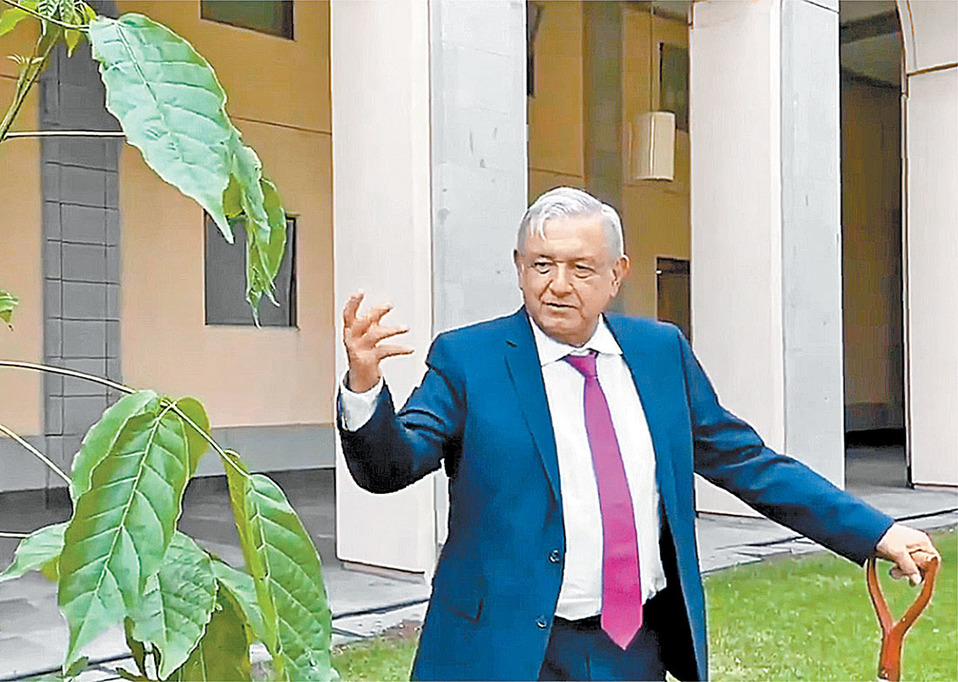 El mandatario sembró cuatro árboles en el Jardín de la Emperatriz de Palacio Nacional. (Especial)
