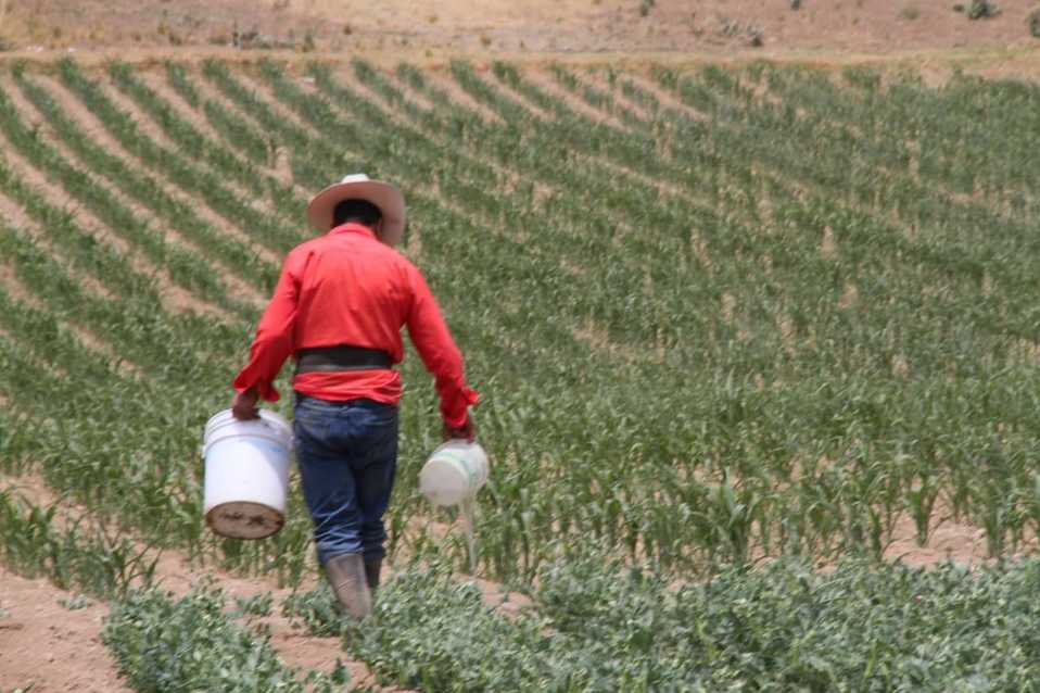 Señalan que el tema es preocupante, ya que los ciclos agrícolas los marca el propio clima. (Sergio Sánchez-Hidalgo)