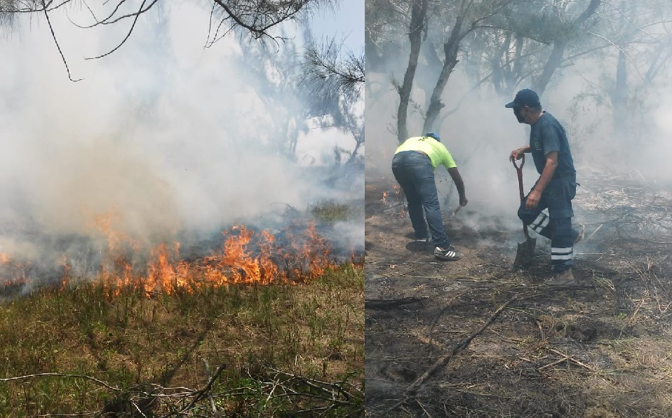Incendio en pinos de playa Miramar.