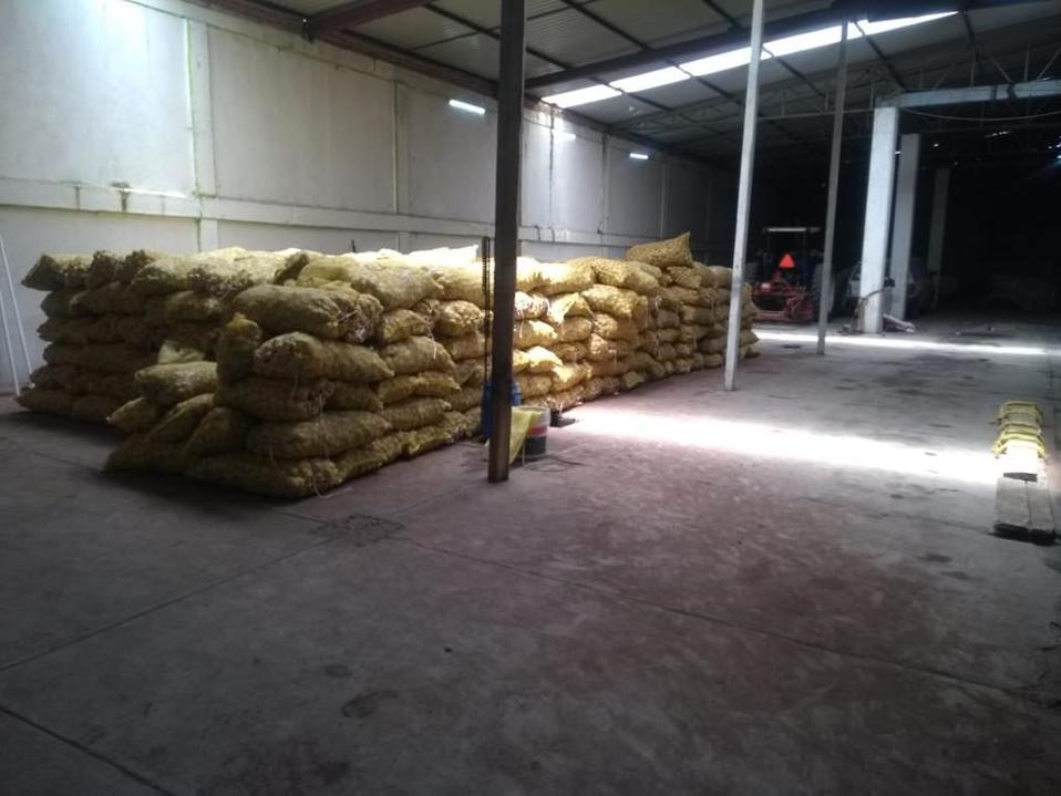 Fueron hallados 636 costales de papa para siembra, así como una caja de tractocamion.(Especial)