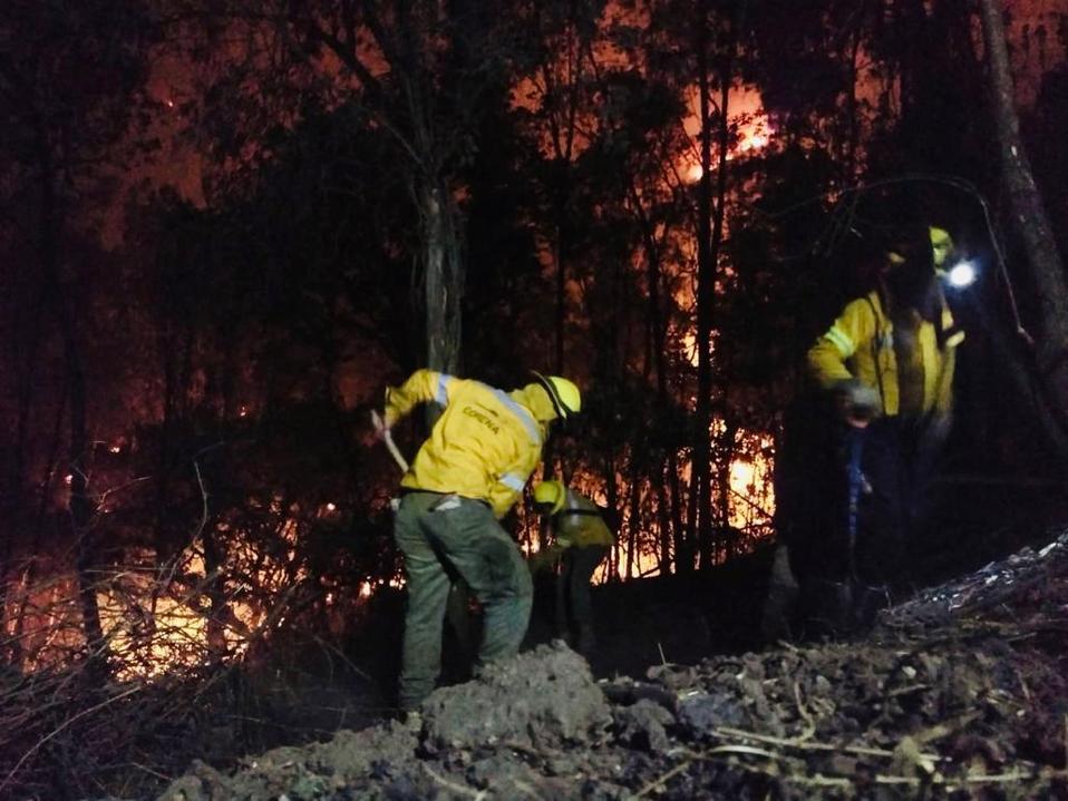Incendio forestal en la Ciudad de México. (Especial)