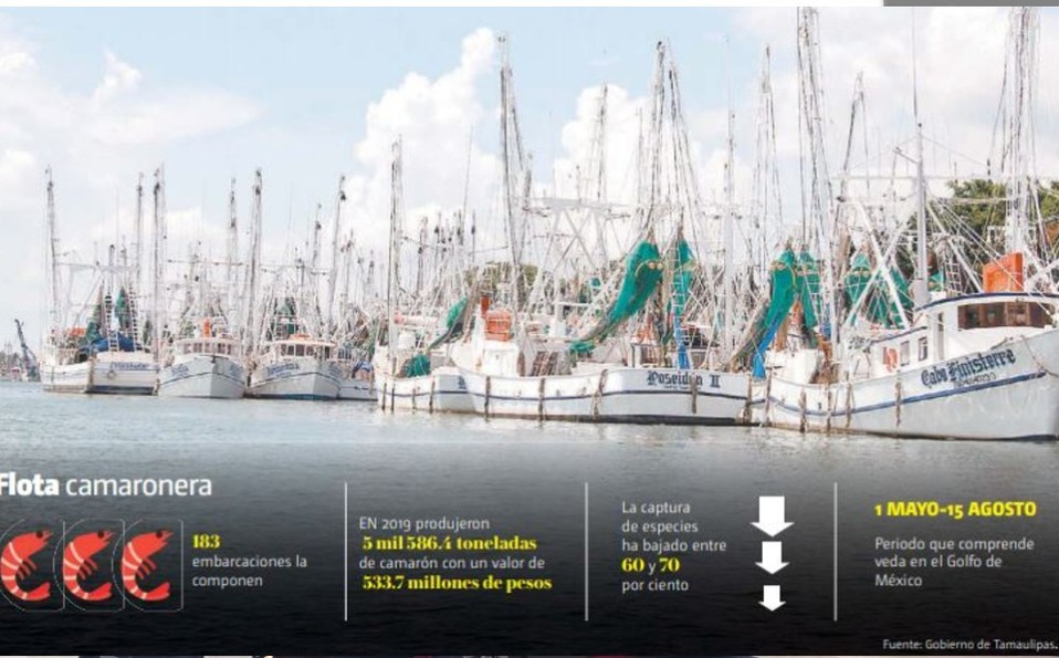 Tamaulipas | Cortesía