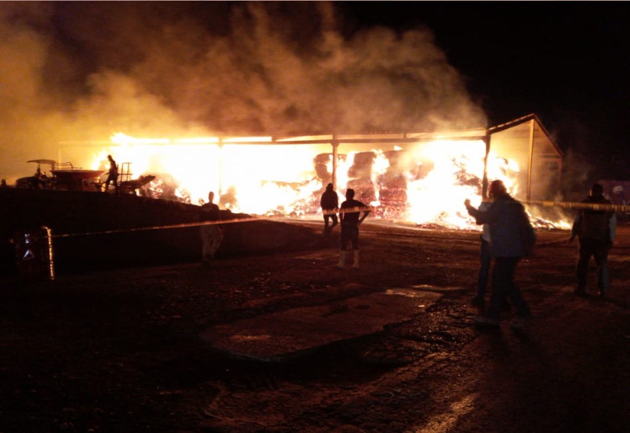 Autoridades se percataron que el incendio estaba en el almacén de las pacas de forraje. (Milenio Digital)